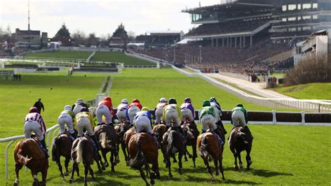 2024 Supreme Novices' Hurdle Form: Check out all the latest .